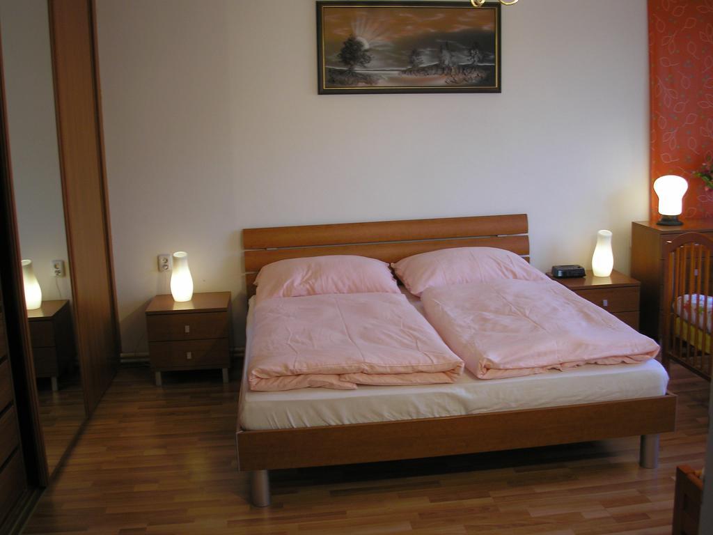 Vacation Apartment Up To 10 Братислава Номер фото
